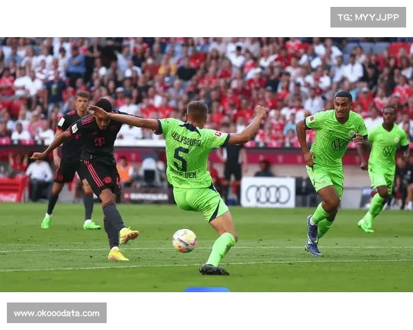 霍芬海姆3-0完胜奥格斯堡，近6轮联赛保持不败